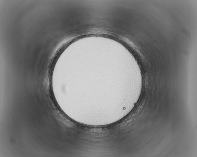X0000112431408200909251527