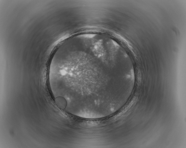 X0000112431411200909251527