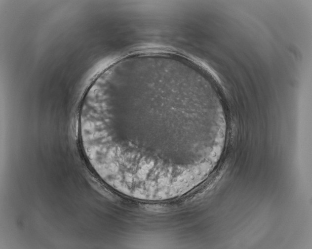 X0000112431413200909251527