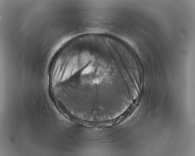 X0000112431414200909251527