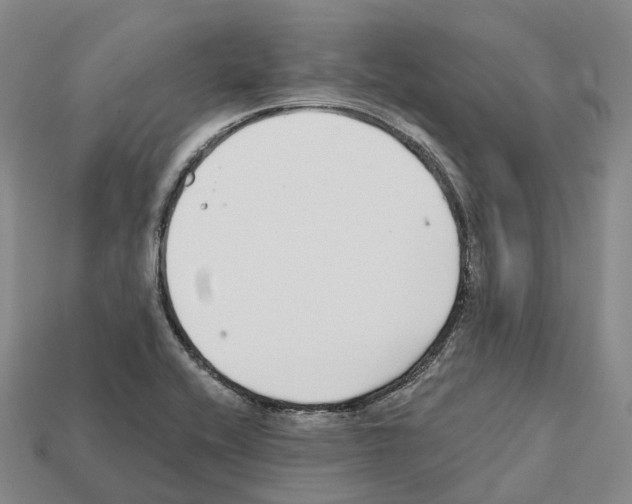X0000112431416200909251527