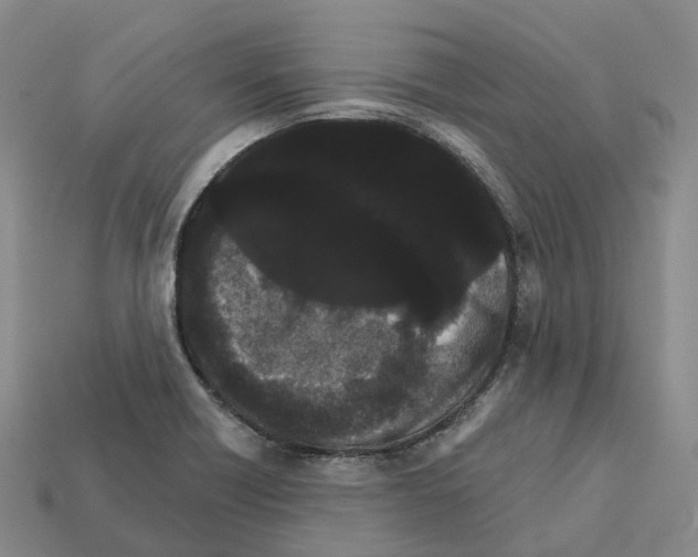 X0000112431418200909251527