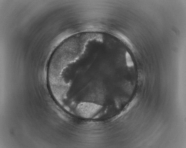 X0000112431419200909251527