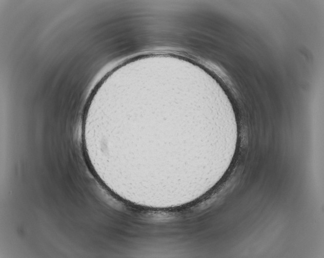 X0000112431420200909251527