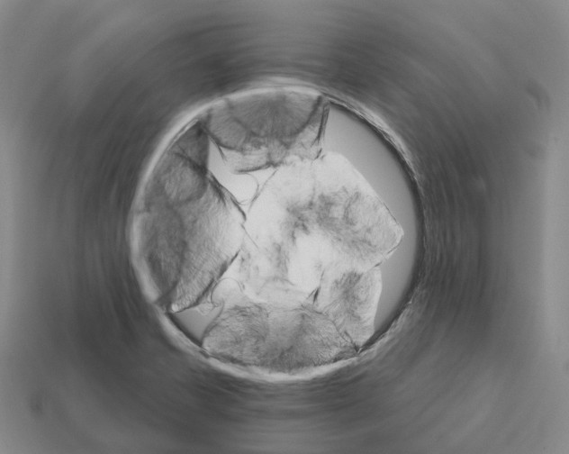 X0000112431421200909251527