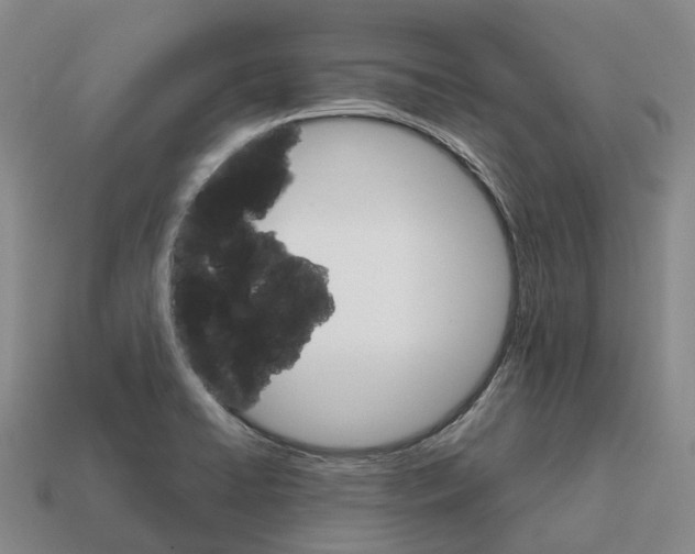 X0000112431422200909251527