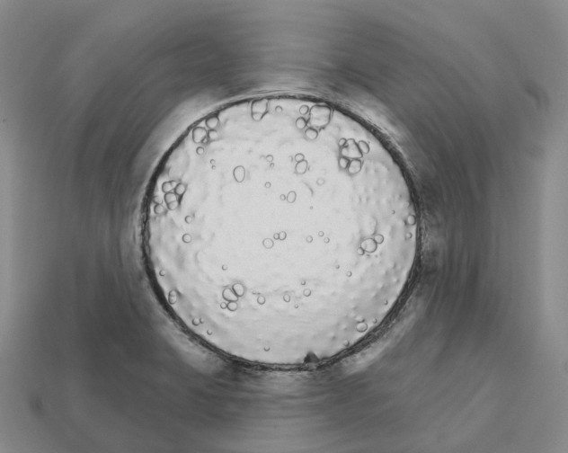 X0000112431423200909251527