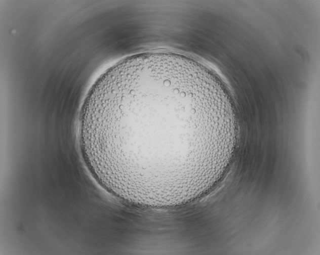 X0000112431424200909251527