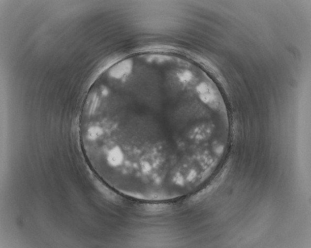 X0000112431425200909251527