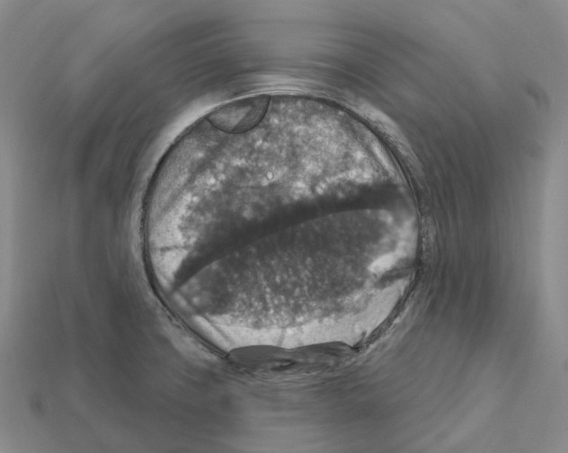 X0000112431427200909251527