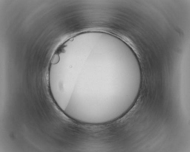 X0000112431428200909251527