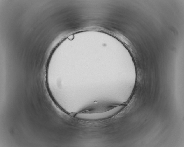 X0000112431430200909251527