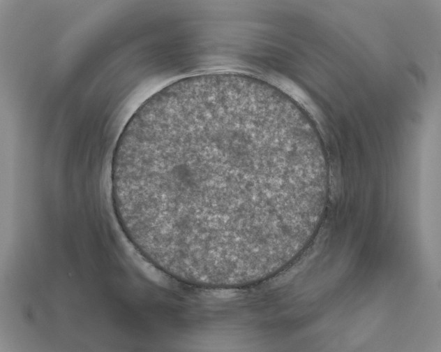 X0000112431431200909251527