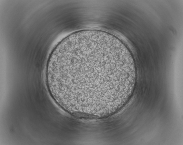 X0000112431432200909251527