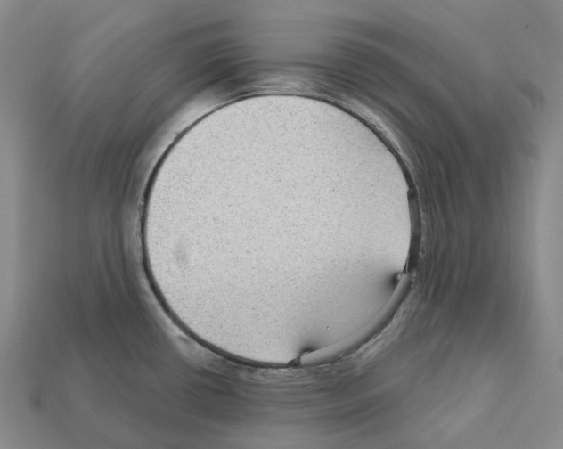 X0000112431434200909251527