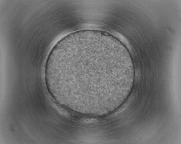 X0000112431435200909251527