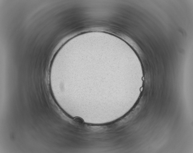 X0000112431436200909251527