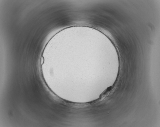 X0000112431440200909251527