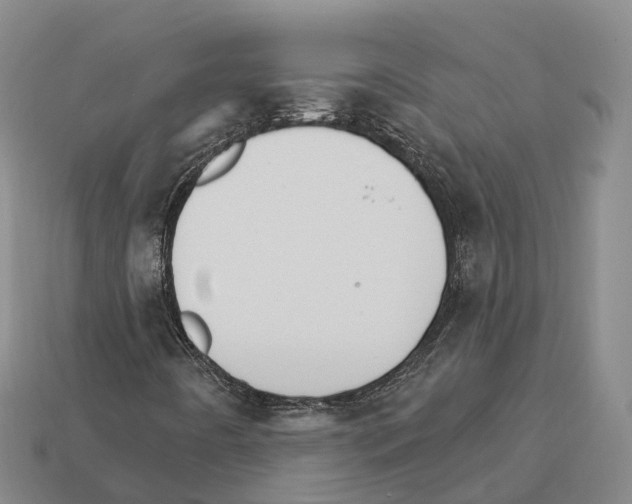 X0000112431442200909251527