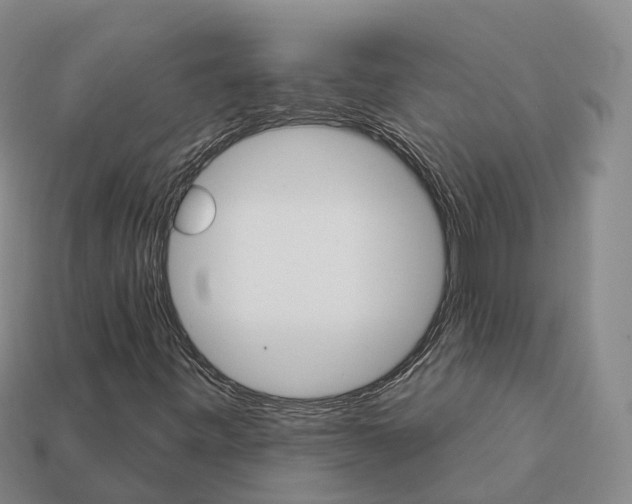 X0000112431443200909251527