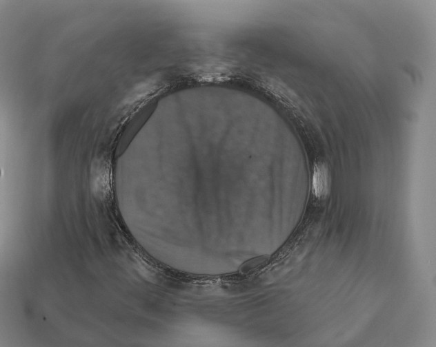 X0000112431444200909251527