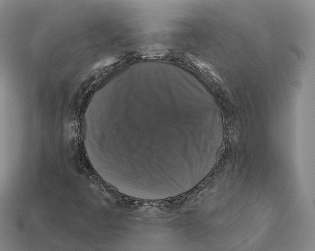 X0000112431445200909251527