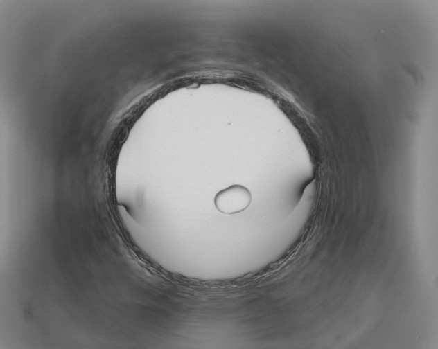 X0000112431448200909251527
