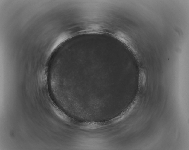 X0000112431450200909251527