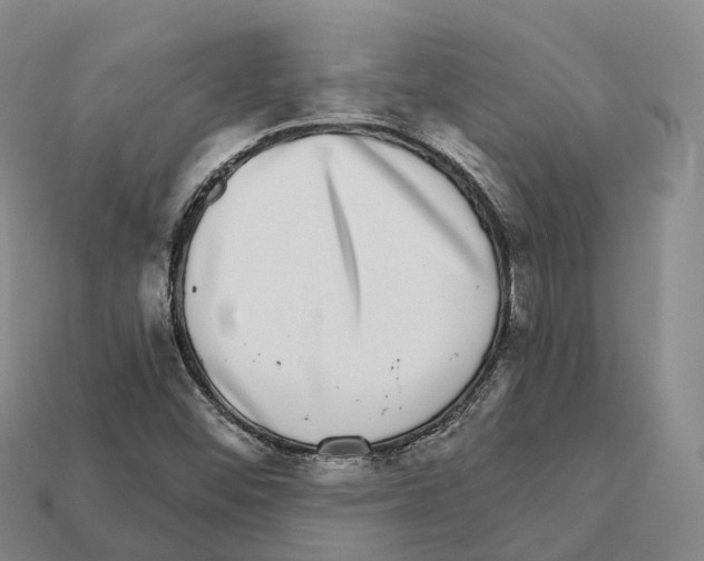X0000112431452200909251527