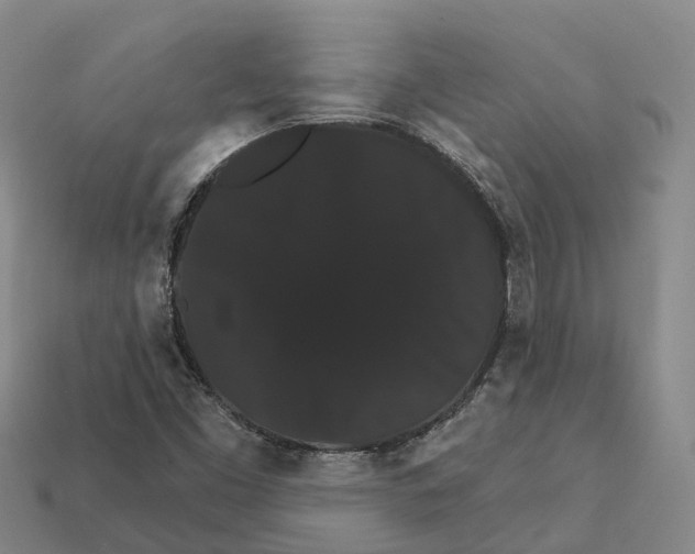 X0000112431453200909251527