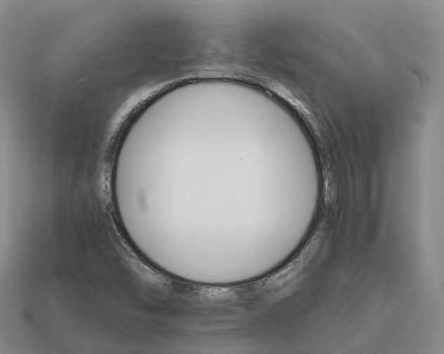 X0000112431454200909251527