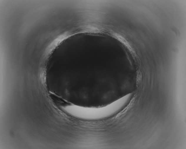 X0000112431455200909251527
