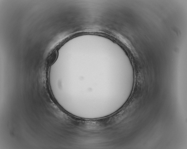 X0000112431456200909251527