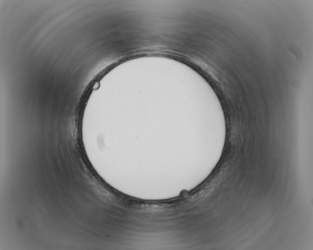 X0000112431458200909251527