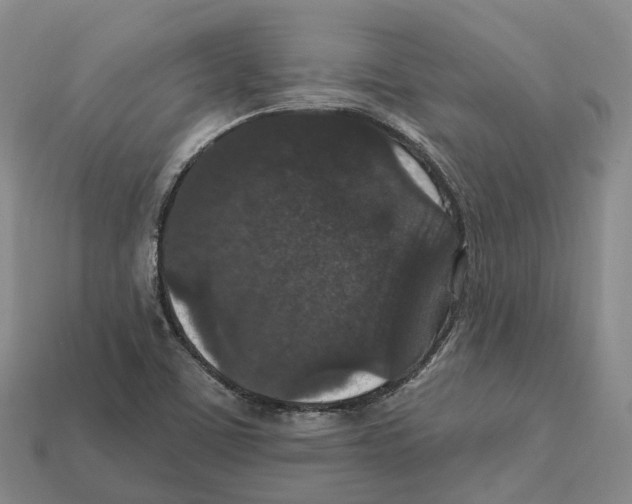 X0000112431459200909251527