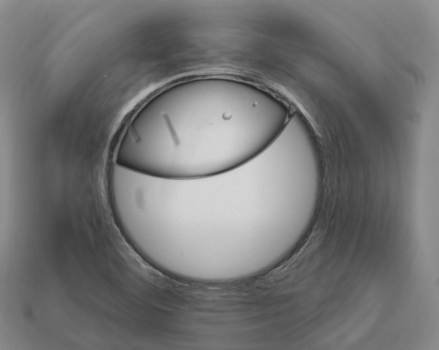 X0000112431460200909251527