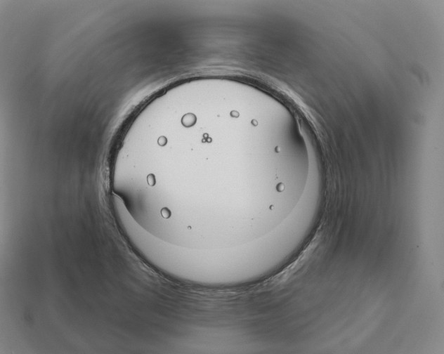 X0000112431461200909251527