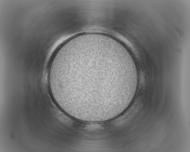 X0000112431462200909251527