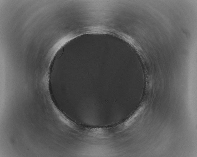 X0000112431463200909251527