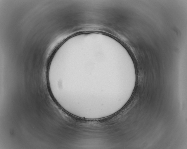 X0000112431464200909251527