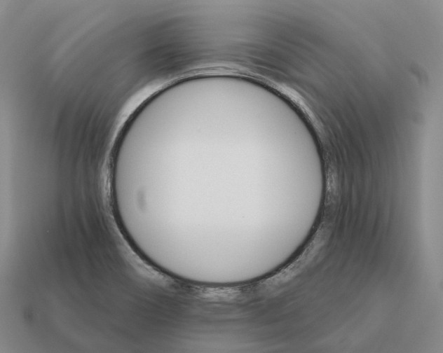 X0000112431466200909251527