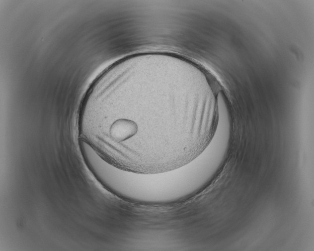 X0000112431468200909251527