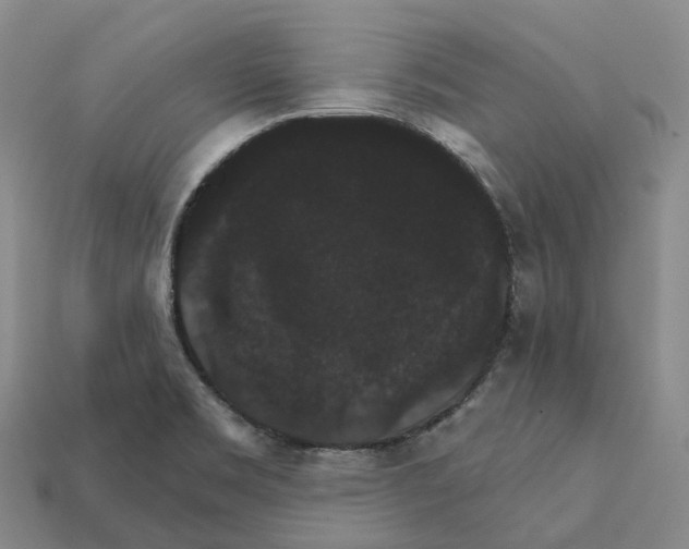 X0000112431469200909251526