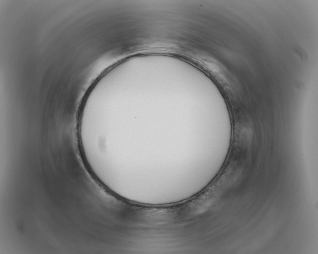 X0000112431470200909251526