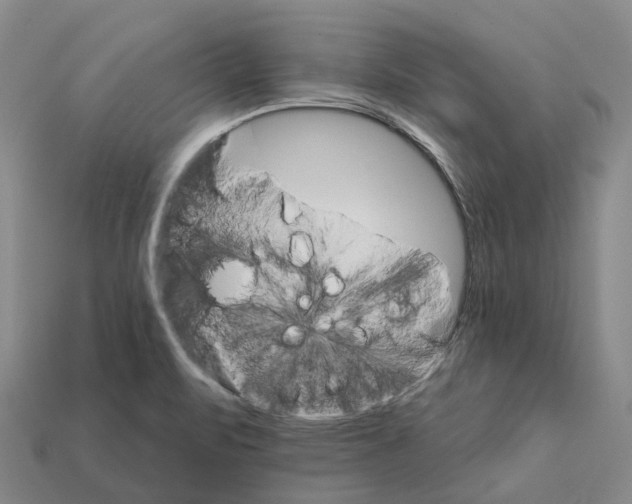 X0000112431471200909251526