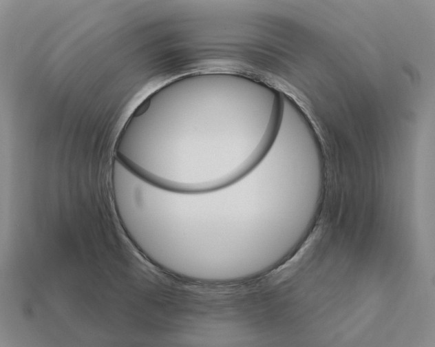 X0000112431473200909251526