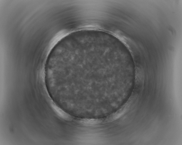 X0000112431474200909251526
