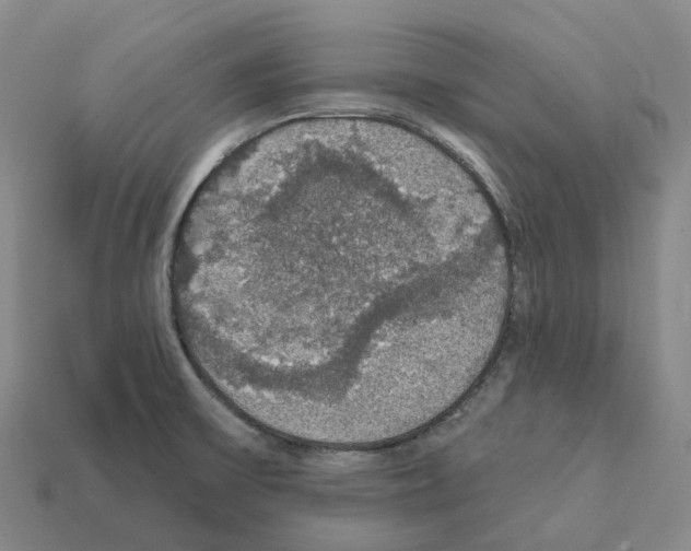X0000112431475200909251526