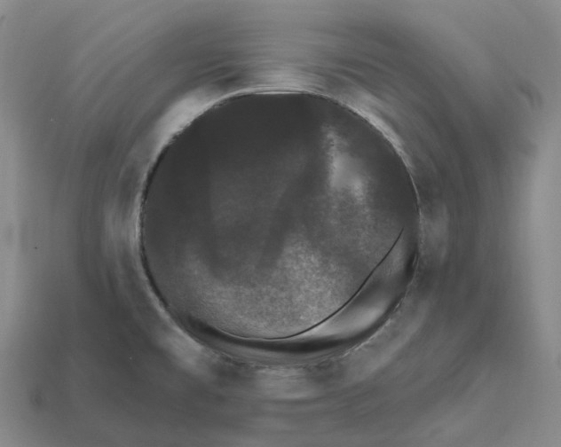 X0000112431477200909251526
