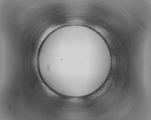 X0000112431478200909251526